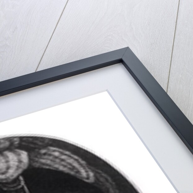 Paul Francois Jean Nicolas Vicomte de Barras by Francois Bonneville