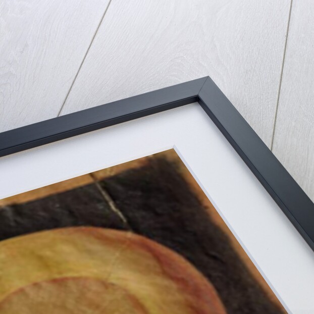 Anatomical drawing of the human head by Hieronymus Fabricius ab Aquapendente