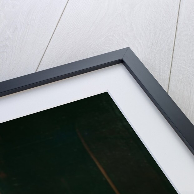 The Operation by Gerrit or Gerard Dou