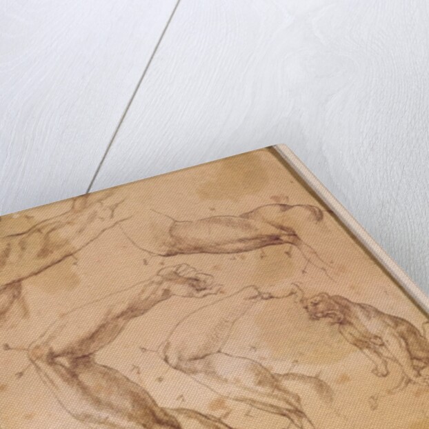 Ms H 184 fol.202 Studies of raised arms, a wild cat and a group of figures by Michelangelo Buonarroti