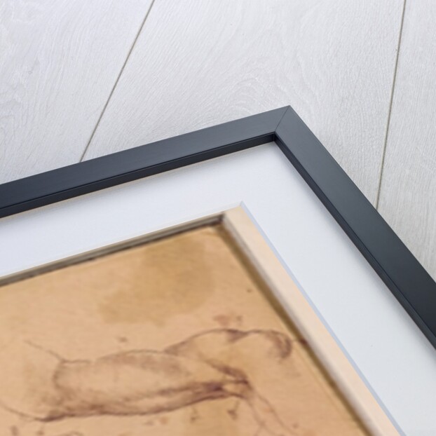 Ms H 184 fol.202 Studies of raised arms, a wild cat and a group of figures by Michelangelo Buonarroti