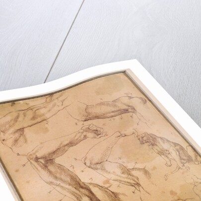 Ms H 184 fol.202 Studies of raised arms, a wild cat and a group of figures by Michelangelo Buonarroti