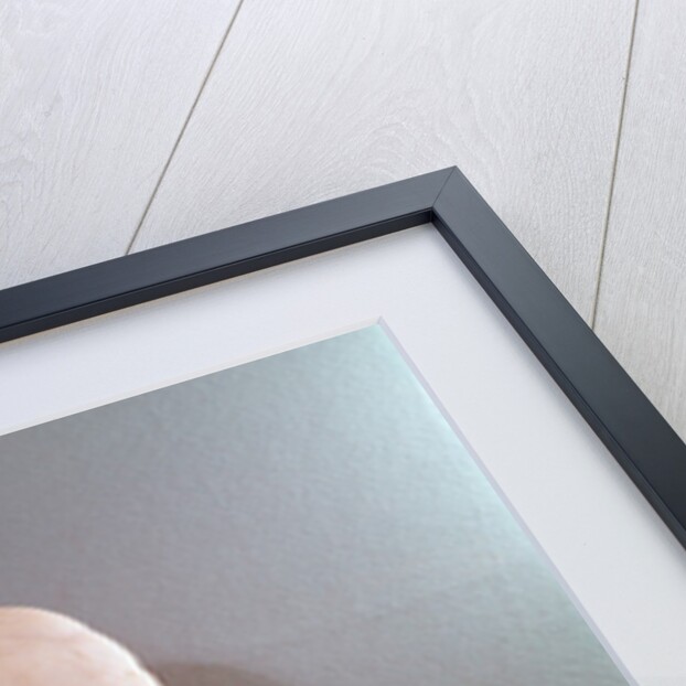 Bust of Paul Broca 1881 by Emile Arthur Soldi or Soldi-Colbert