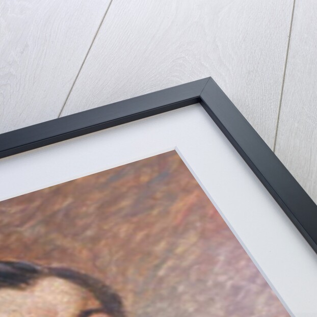 Portrait of Paul Bert by Mascre Souville