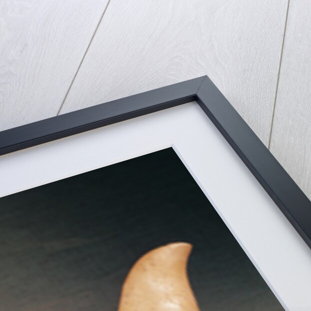 White pottery 'kuei' tripod jug by School Chinese