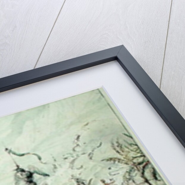 Set design for 'Aladdin', 1824 by Pierre Luc Charles Ciceri