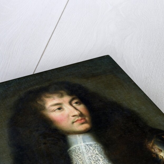 Portrait of Louis XIV, 1661-62 by Charles Le Brun