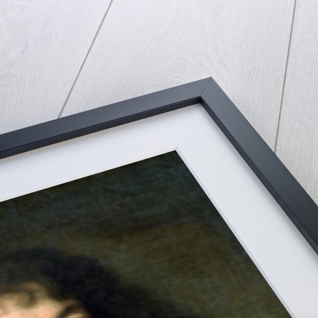 Portrait of Louis XIV, 1661-62 by Charles Le Brun