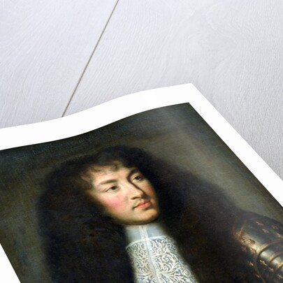 Portrait of Louis XIV, 1661-62 by Charles Le Brun