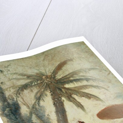 Chinese Curiosity, study for a tapestry cartoon, c.1742 by Francois Boucher