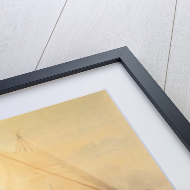 Buffalo Dance, c.1832 by George Catlin