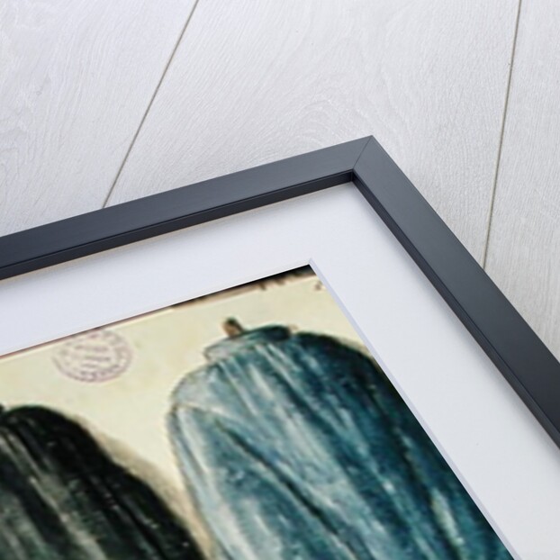 A Venetian Tailor by Jan van Grevenbroeck