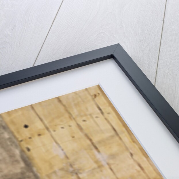 Spinning Cotton by Jan van Grevenbroeck