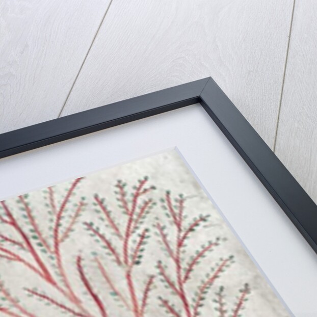 Isis metamorphosed into a sycamore tree suckling Tuthmosis III by Egyptian 18th Dynasty