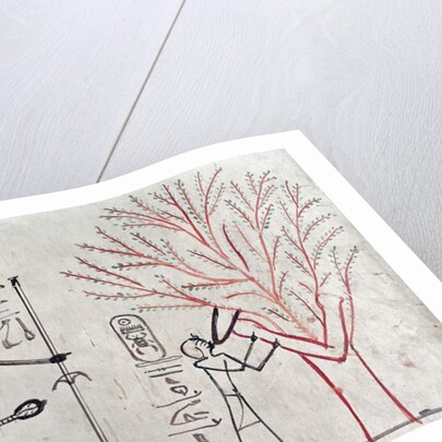 Isis metamorphosed into a sycamore tree suckling Tuthmosis III by Egyptian 18th Dynasty