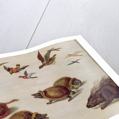 The Enemies of Snakes by Jan van the Elder Kessel