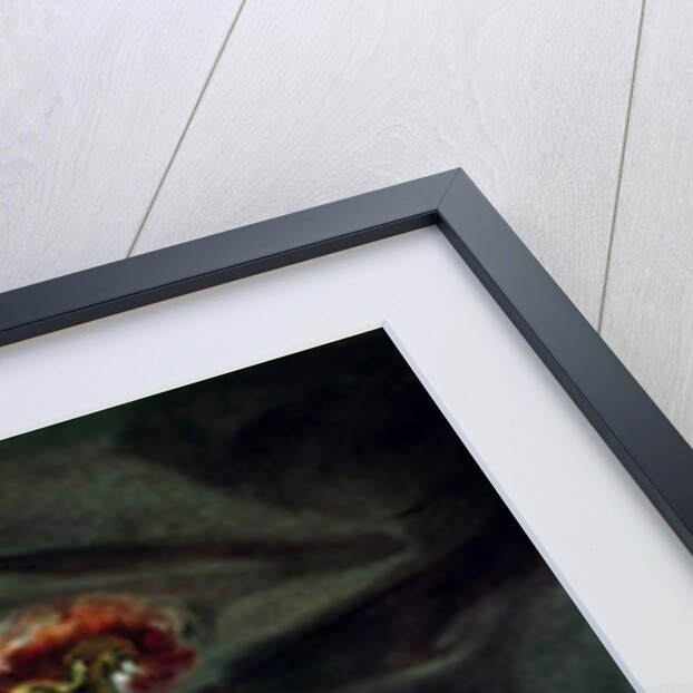 The Clemency of Alexander the Great in front of the Family of Darius III by Giovanni Antonio Pellegrini