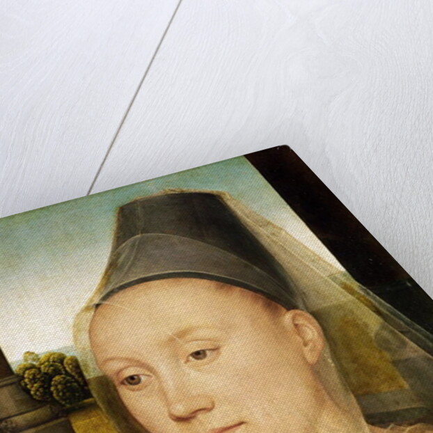 Barbara de Vlaenderberch, c.1472-75 by Hans Memling