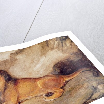 Lion Resting by Antoine Louis Barye