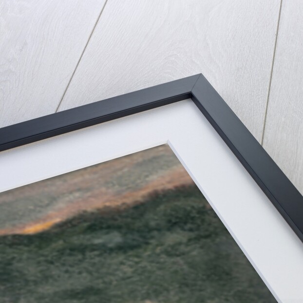 Lion Resting on his Back by Antoine Louis Barye