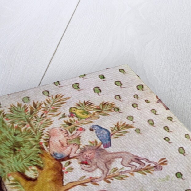 Map of the St. Lawrence Estuary, detail of parrots and monkeys by French School