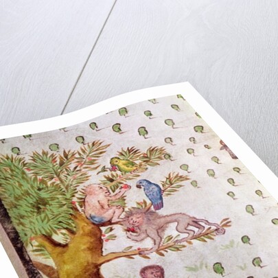 Map of the St. Lawrence Estuary, detail of parrots and monkeys by French School