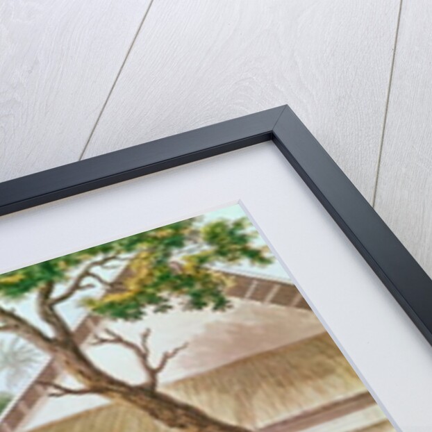 Religious Festival in Caieli, Buru Island by French School