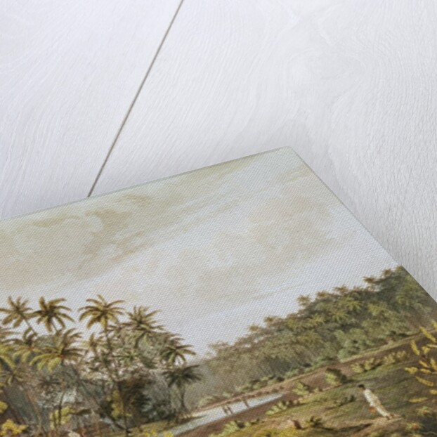 View near Point du Galle, Ceylon by Henry Salt (after)