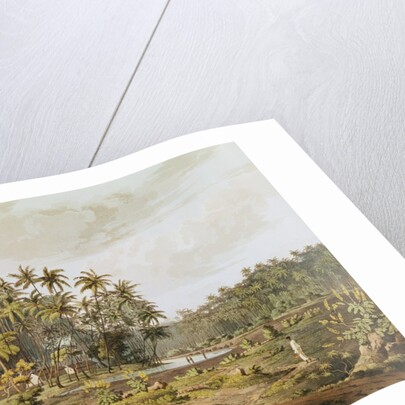 View near Point du Galle, Ceylon by Henry Salt (after)