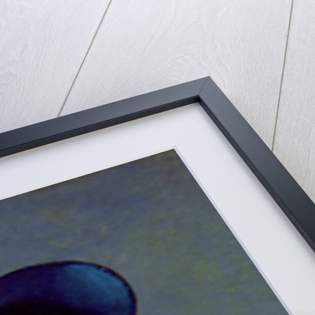 Antoinette-Elisabeth-Marie d'Aguesseau Countess of Segur, 1785 by Elisabeth Louise Vigee-Lebrun