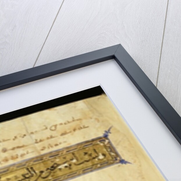 Ms D-228 Page from 'The Epistles and Acts of the Apostles', 1341 by Islamic School