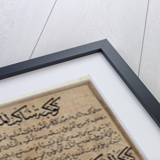 Aquarius and Pisces by Islamic School