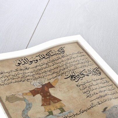 Aquarius and Pisces by Islamic School