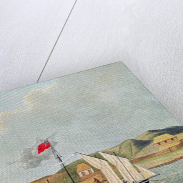 English Missionaries in Kidikidi, New Zealand by French School