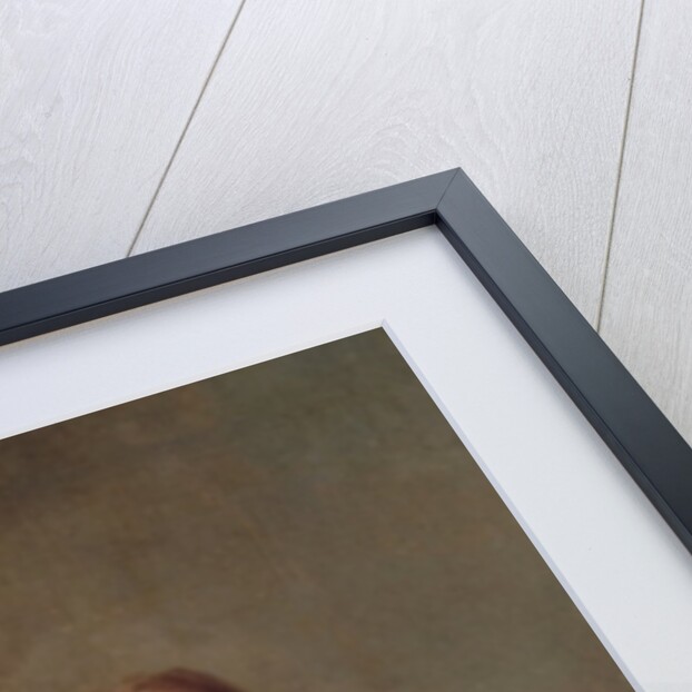 The Flea-Catcher c.1655 by Gerard ter Borch or Terborch