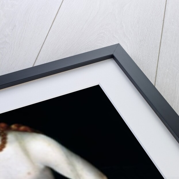 Venus and Cupid, c.1540 by Lucas the Younger Cranach