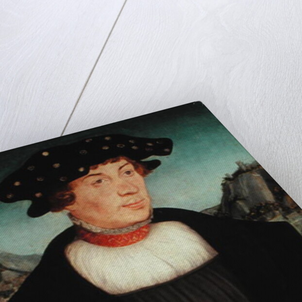 Portrait of Hans Melber, 1526 by Lucas the Elder Cranach