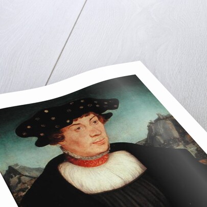 Portrait of Hans Melber, 1526 by Lucas the Elder Cranach