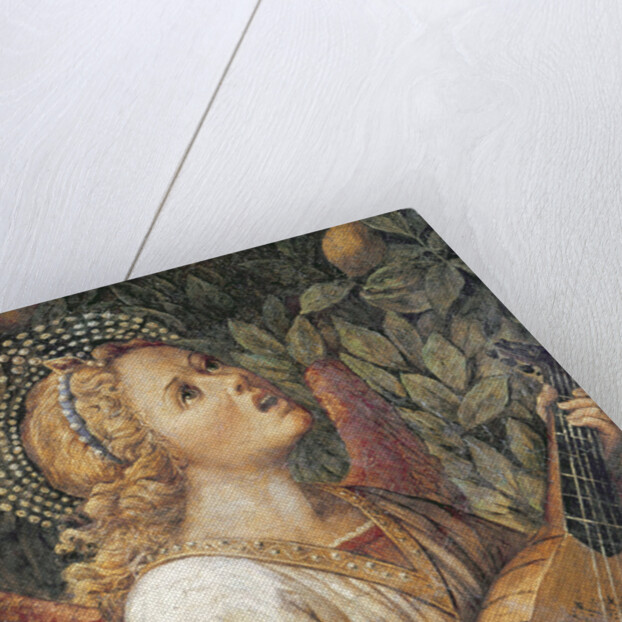 Angel Musician by Melozzo da Forli