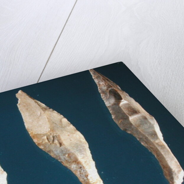 Three arrow heads by Prehistoric Prehistoric