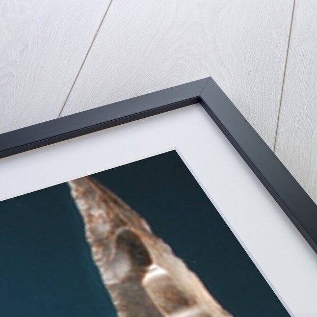 Three arrow heads by Prehistoric Prehistoric