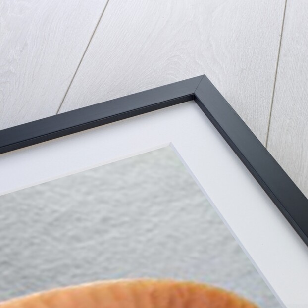 Knife blade, c.3000 BC by Predynastic Period Egyptian