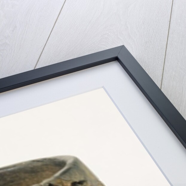 Vase, from Brittany by Neolithic Neolithic