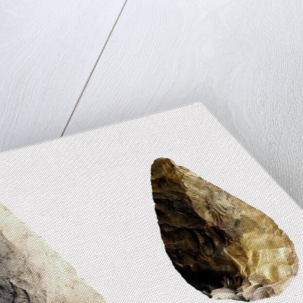 Two blades by Paleolithic Paleolithic