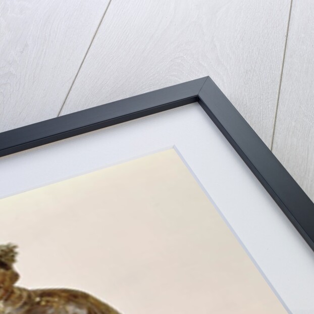 The Sadaijin in ceremonial costume, Muromachi Period by Japanese School