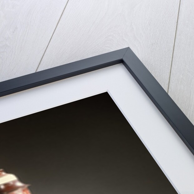 Microscope by Dutch School