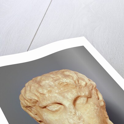 Head of one of the Diadochi or Head of Alexander III the Great by Greek school