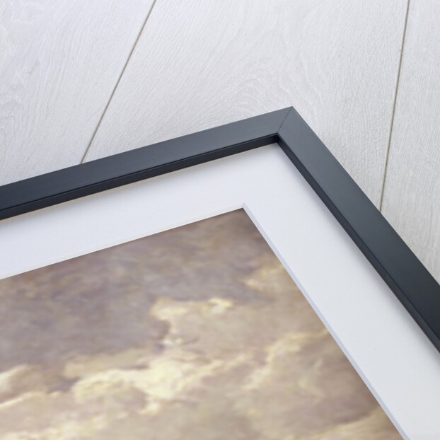 Windmill at Leidschendam by Paul Joseph Constantin Gabriel