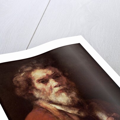 Head of an Old Man, c.1650 by Carel (attr. to) Fabritius