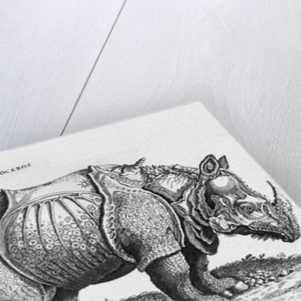 Rhinoceros, 1515 by Albrecht (after) Durer or Duerer